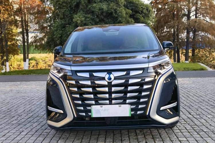 Used Denza D9 2022 DM-i 970 Four-Wheel Drive Flagship Model