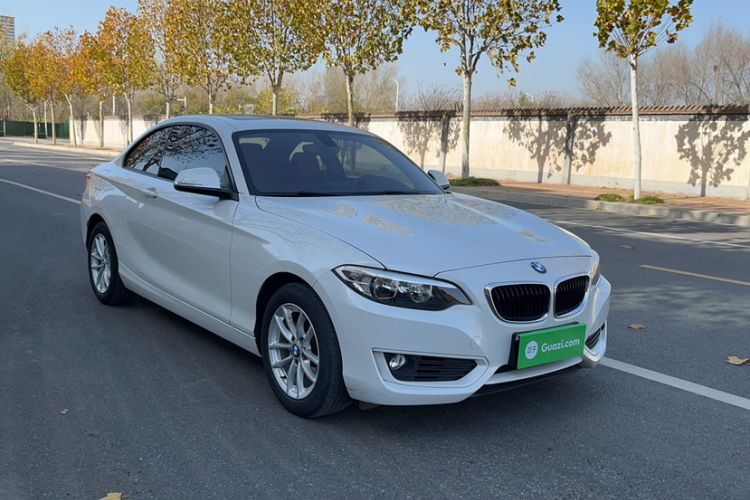 Used BMW 2 Series 2015 218i