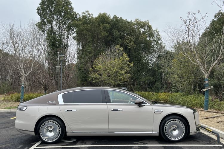 Used Hima S800 2025 Model, Range-Extended Starlight Executive Edition, 4 Seats
