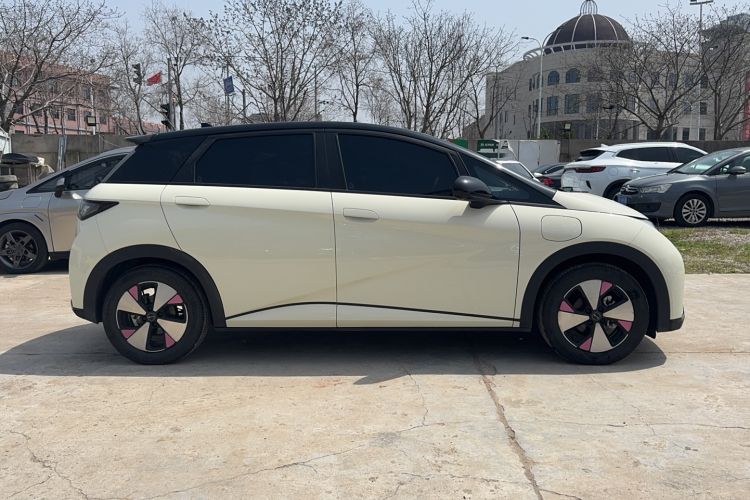 Used BYD Dolphin 2023 420 km Fashion Edition
