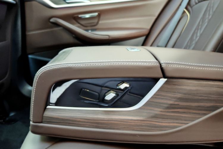 Used BMW 5 Series 2020 530Li Leading Edition Luxury Package