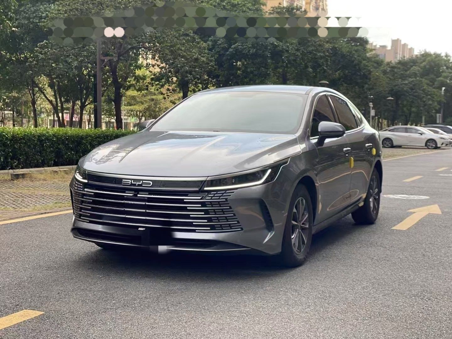 BYD Destroyer 05 2023 Champion Edition DM-i 55KM Luxury Model — снимка 12