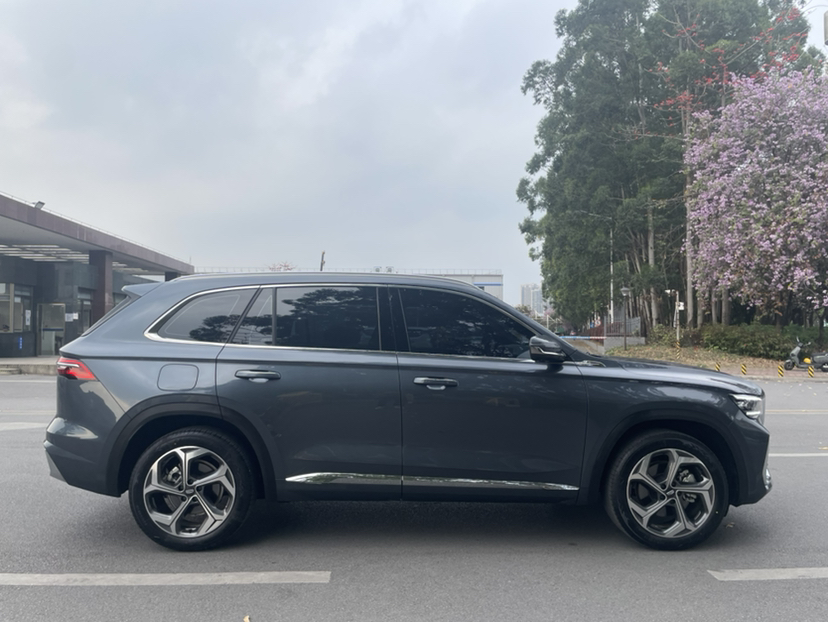 Geely Auto Monjaro L 2024 2.0TD DCT EVO Two-Wheel Drive Long-Range Version — снимка 5