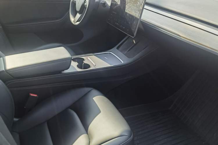 Used Tesla Model Y 2021 Standard Range Rear-Wheel Drive Version
