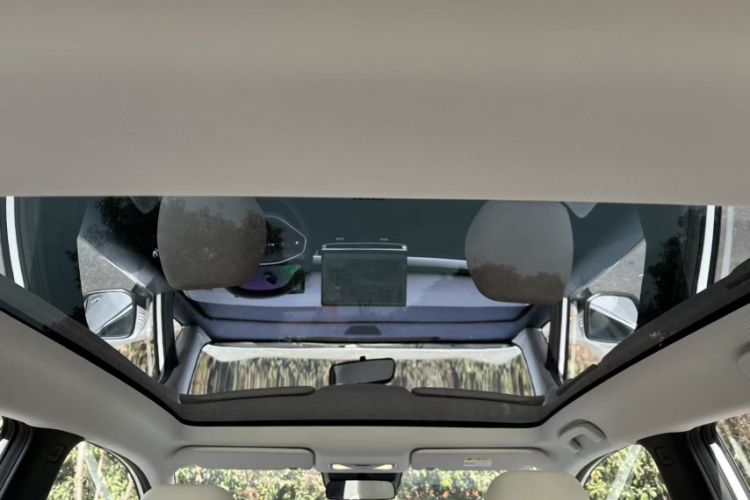 Used Venucia VX6 2023 520 Max