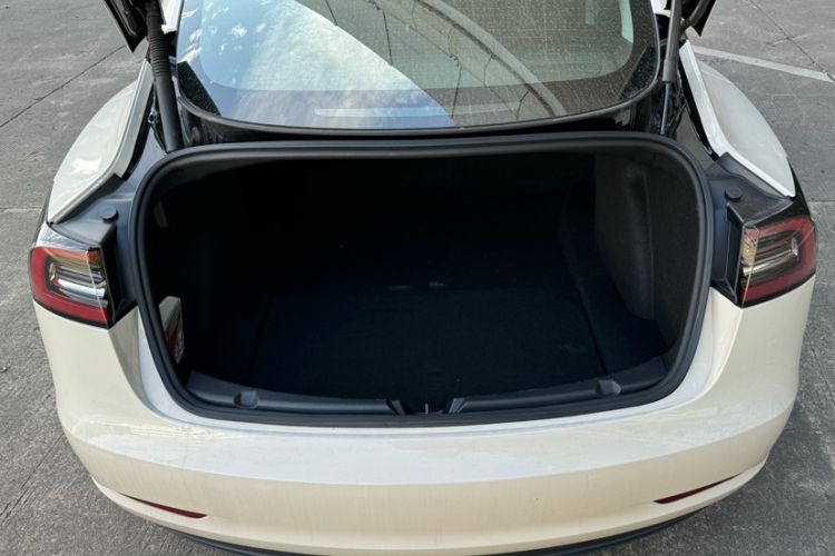 Used Tesla Model 3 2021 Performance High-Performance All-Wheel-Drive Version