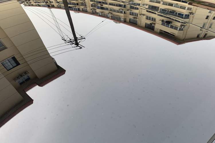 Used Tesla Model 3 2020 Standard Range Rear-Wheel Drive Upgraded Version Roof