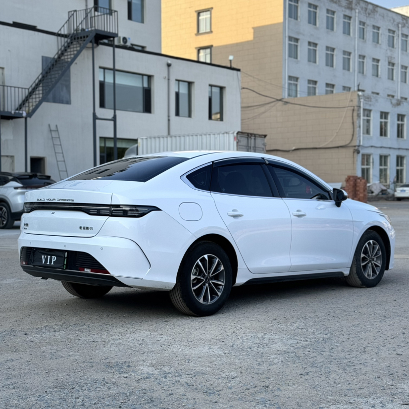 BYD Destroyer 05 2024 HONOR Edition DM-i 55KM Luxury Model — снимка 4