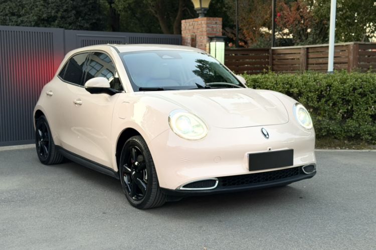 Used ORA Good Cat 2024 401 km Luxury Version