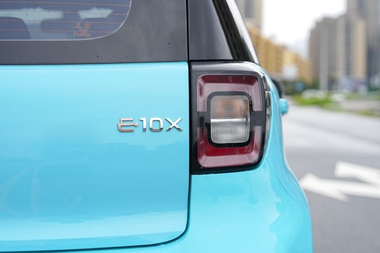 Used SOL E10X 2022 Flower Fairy Style Baby's Breath