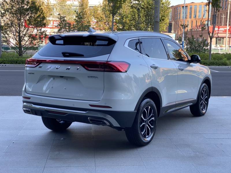 Used Haval H6 2023 National Trend Edition 1.5T Automatic Urban Version — 29