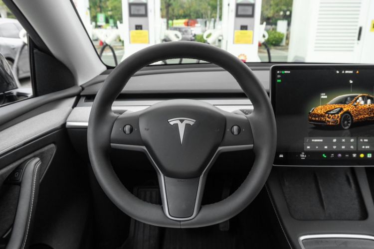 Used Tesla Model Y 2024 Long-Range All-Wheel-Drive Version