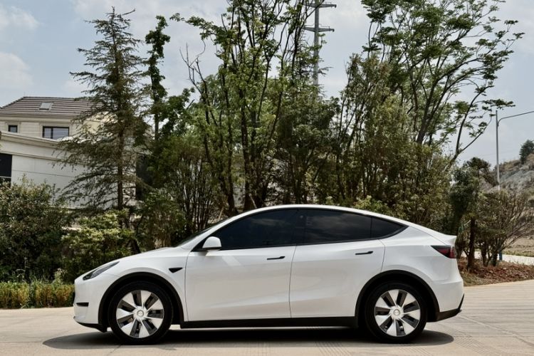 Used Tesla Model Y 2022 Long-Range All-Wheel-Drive Version Exterior 2