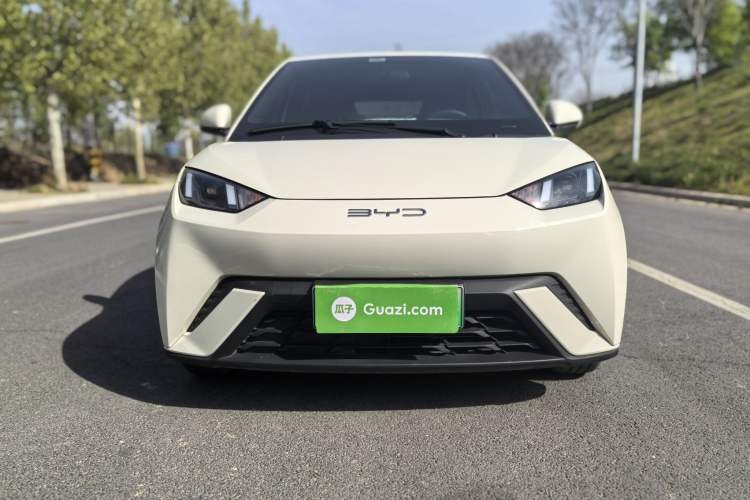 Used BYD Seagull 2023 Free Edition Exterior 4