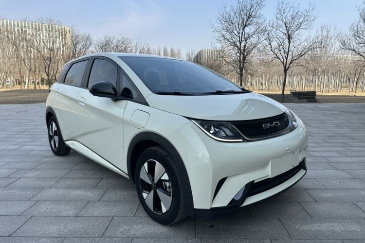 Used BYD Dolphin 2023 420 km Free Version
