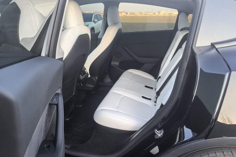 Used Tesla Model Y 2021 Standard Range Rear-Wheel Drive Version