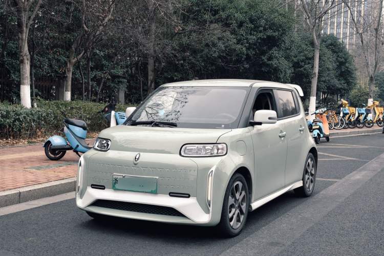 Used ORA White Cat 2020 360 km Luxury Version