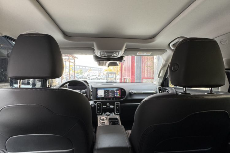 Used Haval DARGO 2024 2.0T DCT Chinese Rural Dog Edition