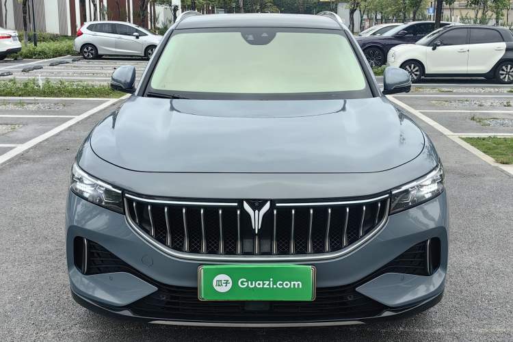 Used VOYAH FREE 2021 Four-Wheel Drive Standard Range-Extended Exclusive Luxury Package Exterior 7