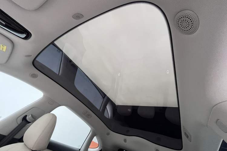 Used IM LS6 2023 Max Standard Edition
