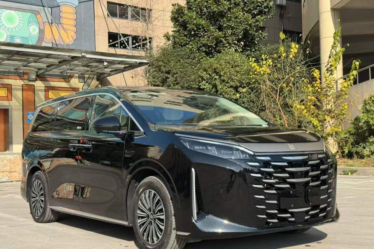 Used BYD Xia 2025 DM-i 1.5T 180km Excellence Model