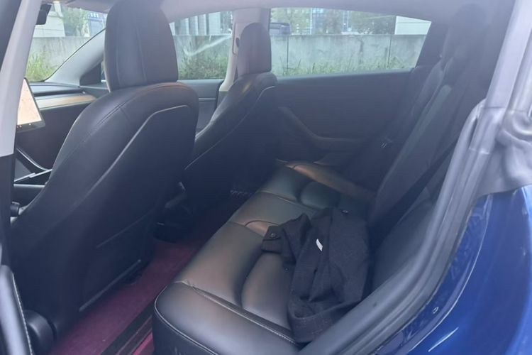 Used Tesla Model 3 2020 Revised Version Standard Range Rear-Wheel Drive – Upgraded Edition
