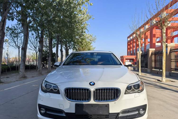 Used BMW 5 Series 2017 520Li Elegant Edition Exterior 1