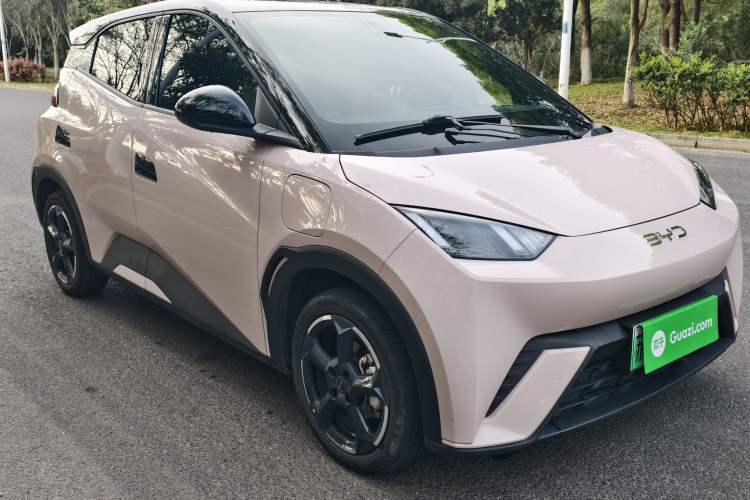 Used BYD Seagull 2024 Honor Edition 305km Freedom Version
