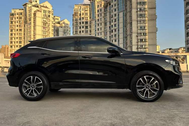 Used Wey VV5 2020 1.5T Two-Wheel Drive Color Pioneer