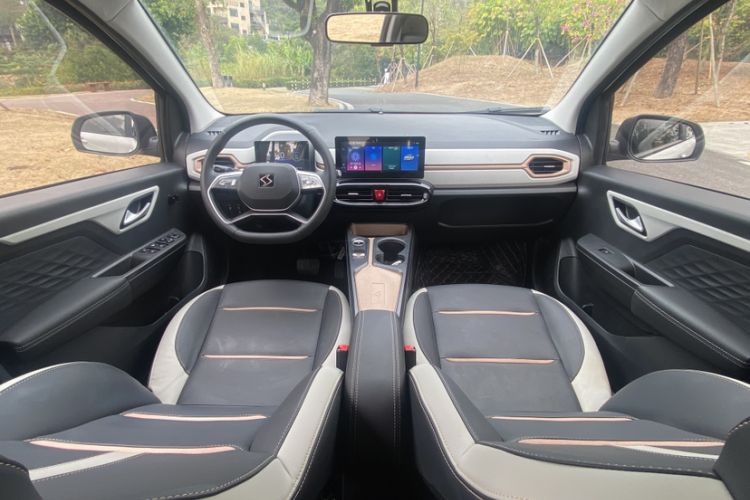 Used SOL E10X 2022 Flower Fairy Design Four-Leaf Clover