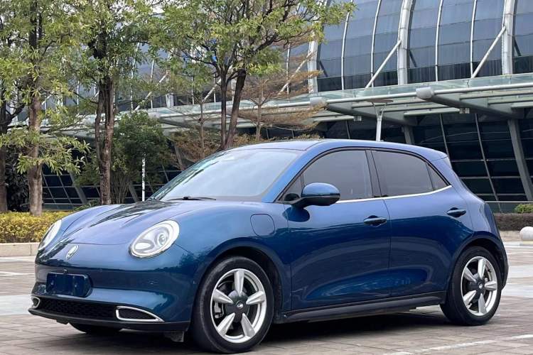 Used ORA Good Cat 2021 500km Long-Range Poseidon Edition Lithium-Ion Battery