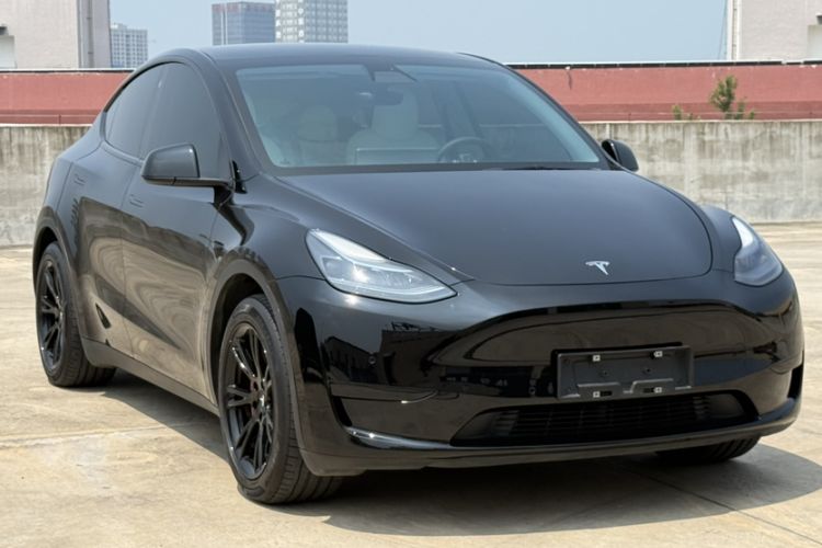 Used Tesla Model Y 2022 Revised Version Rear-Wheel Drive
