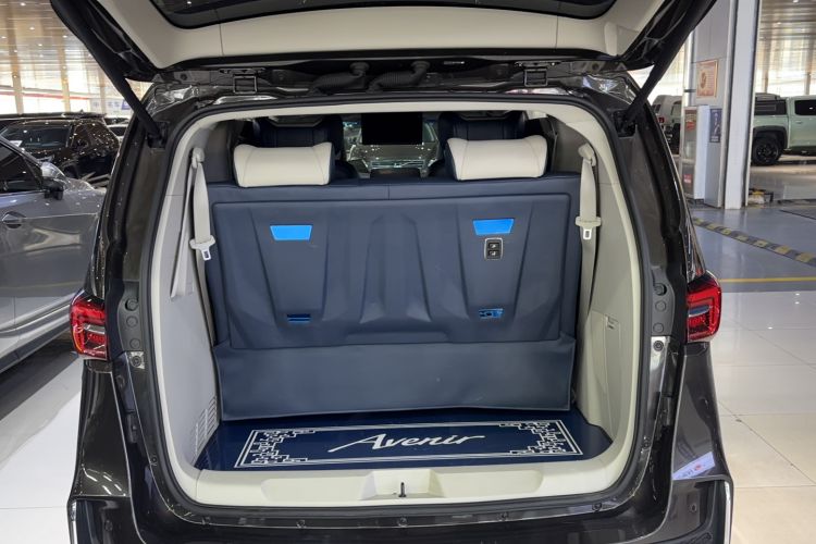 Used Buick GL8 2022 Land Business Class 652T Luxury Model Trunk