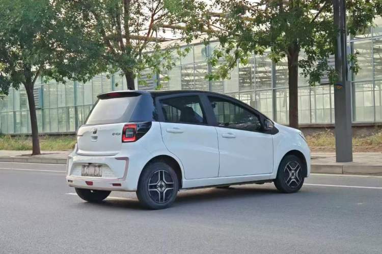 Used SOL E10X 2022 Flower Fairy Design Four-Leaf Clover