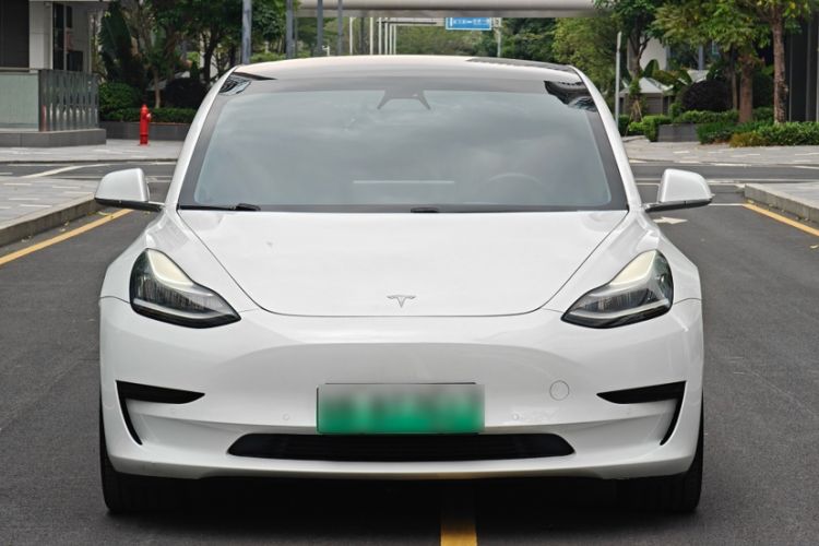 Used Tesla Model 3 2019 Standard Range Rear-Drive Upgraded Version Exterior 5