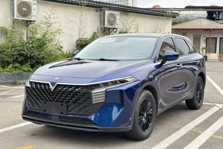 Used Venucia V 2021 260T Idol Edition