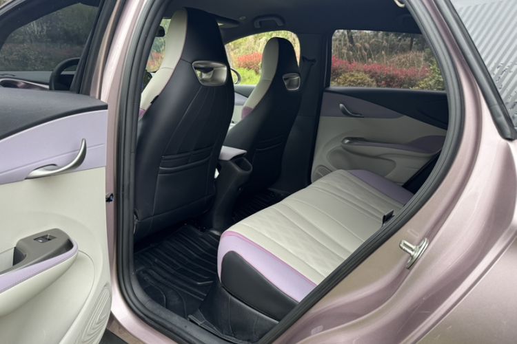 Used BYD Dolphin 2023 420 km Free Version
