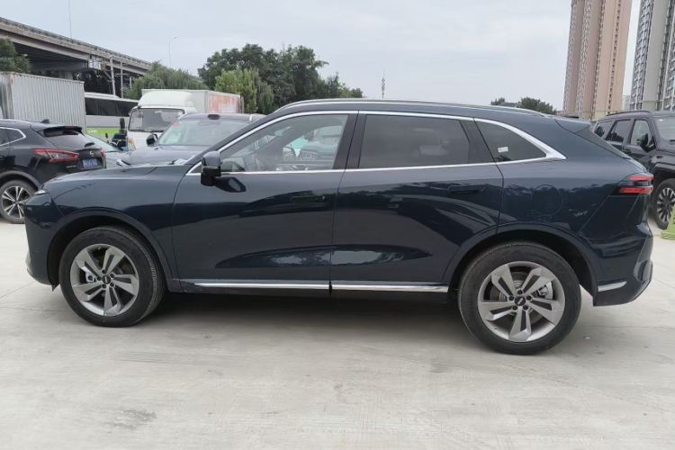 Used Wey Mocha New Energy 2024 Hi4 Four-Wheel Drive Long-Range Version
