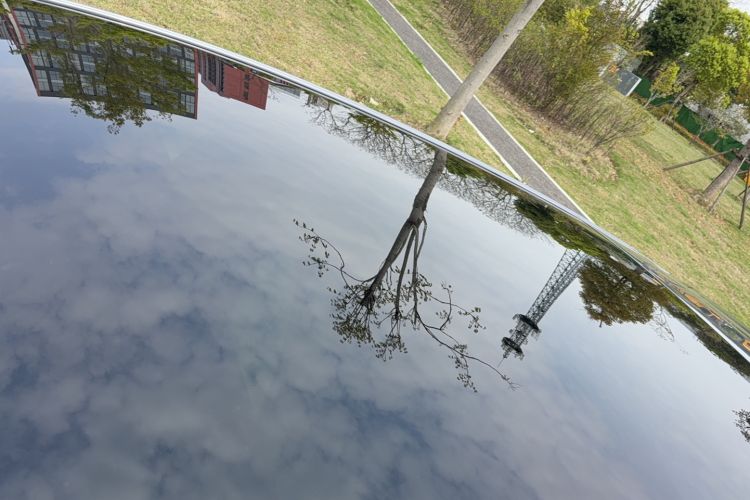 Used BYD Dolphin 2023 401km Knight Edition Roof