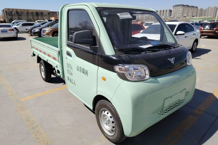 Used REACH MINI Truck 2025 Model 150 km Flatbed—Striving Type
