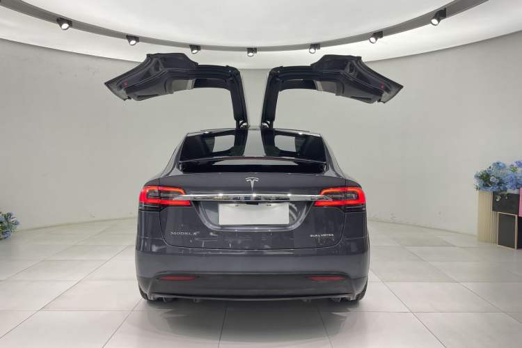 Used Tesla Model X 2019 Long-Range Version