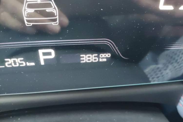 Used Geometry E Firefly 2023 401KM Linglong Tiger 5-Seater
