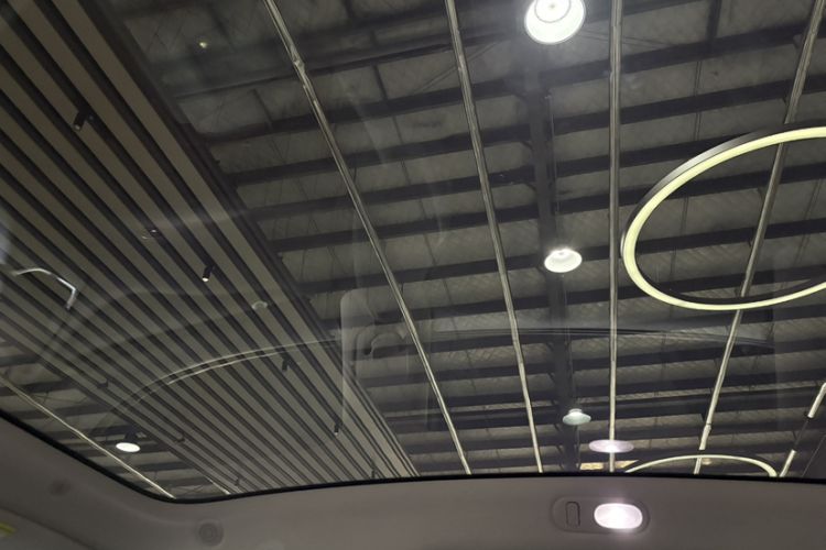 Used IM LS6 2023 Max Long-Range Version