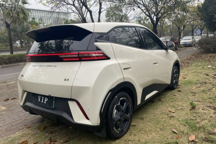 Used BYD Seagull 2023 Free Edition
