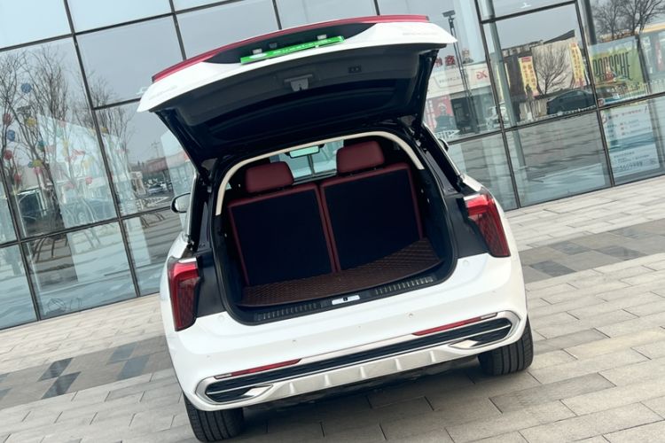 Used Hongqi E-HS9 2022 660 km Range Flagway Edition Six Seats
