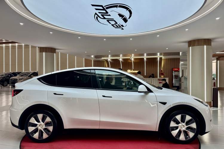 Used Tesla Model Y 2021 Standard Range Rear-Wheel Drive Version
