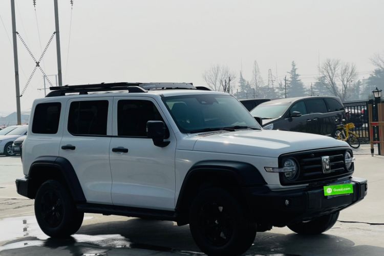 Used Tank 300 2024 2.0T Conqueror