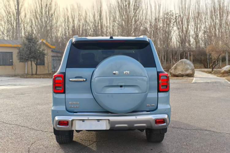 Used BAIC Off-Road BJ60 2022 2.0T May Day Edition Five Seats
