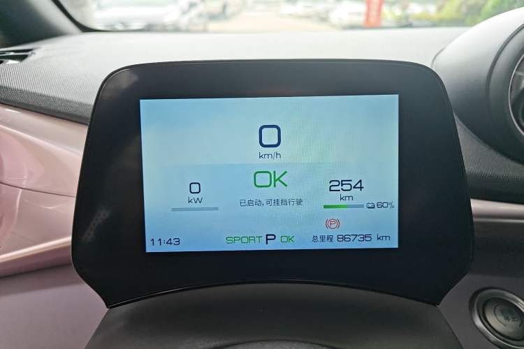 Used BYD Dolphin 2023 420 km Free Version Odometer Close Up