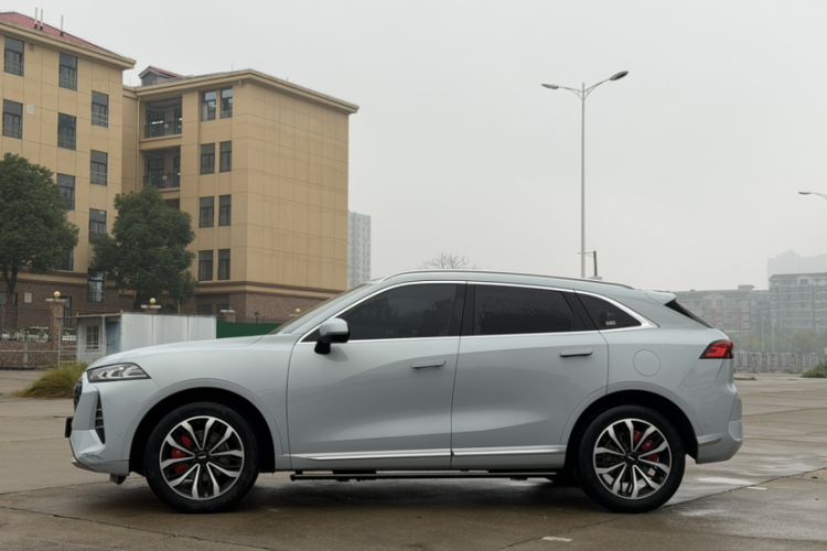 Used Wey Mocha 2021 2.0T Two-Wheel-Drive Premium Edition
